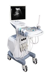 Touch screen 3D Ultrasound Scanner Machine-- SS-100