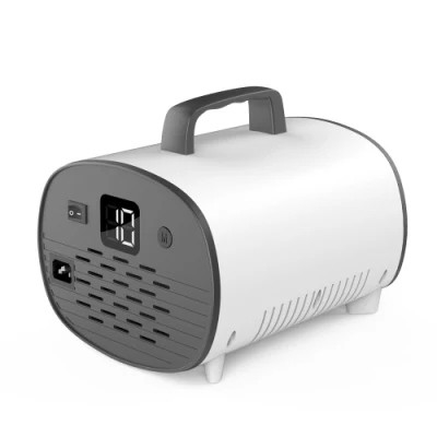 Large Atomizer Spray Disinfection Air Purifier Electric Nano Sprayer Fogging Machine with Timing/Sleeping/Humid
